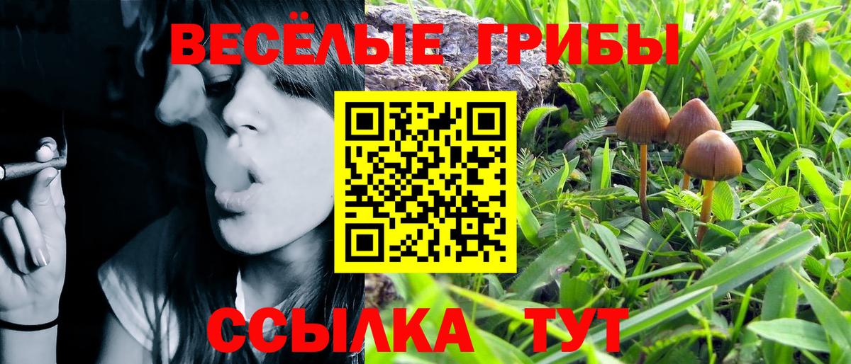 купить   Вход с VPN  Кисловодск  Псилоцибиновые грибы мухоморы 