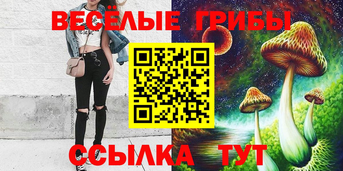 Псилоцибиновые грибы Psilocybe Кисловодск