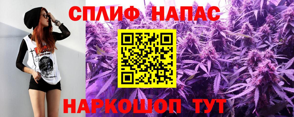 Каннабис Bruce Banner Кисловодск