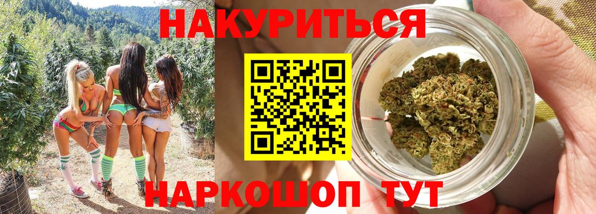 Марихуана план  Вход с VPN  Конопля конопля  Кисловодск  Каннабис тримм 